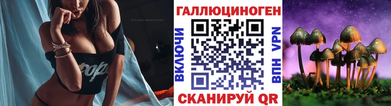 Галлюциногенные грибы Psilocybe  Купить где  Шиханы 